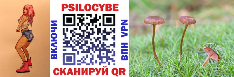 Псилоцибиновые грибы мицелий  Николаевск 